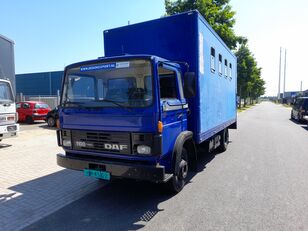 DAF 1100 box truck