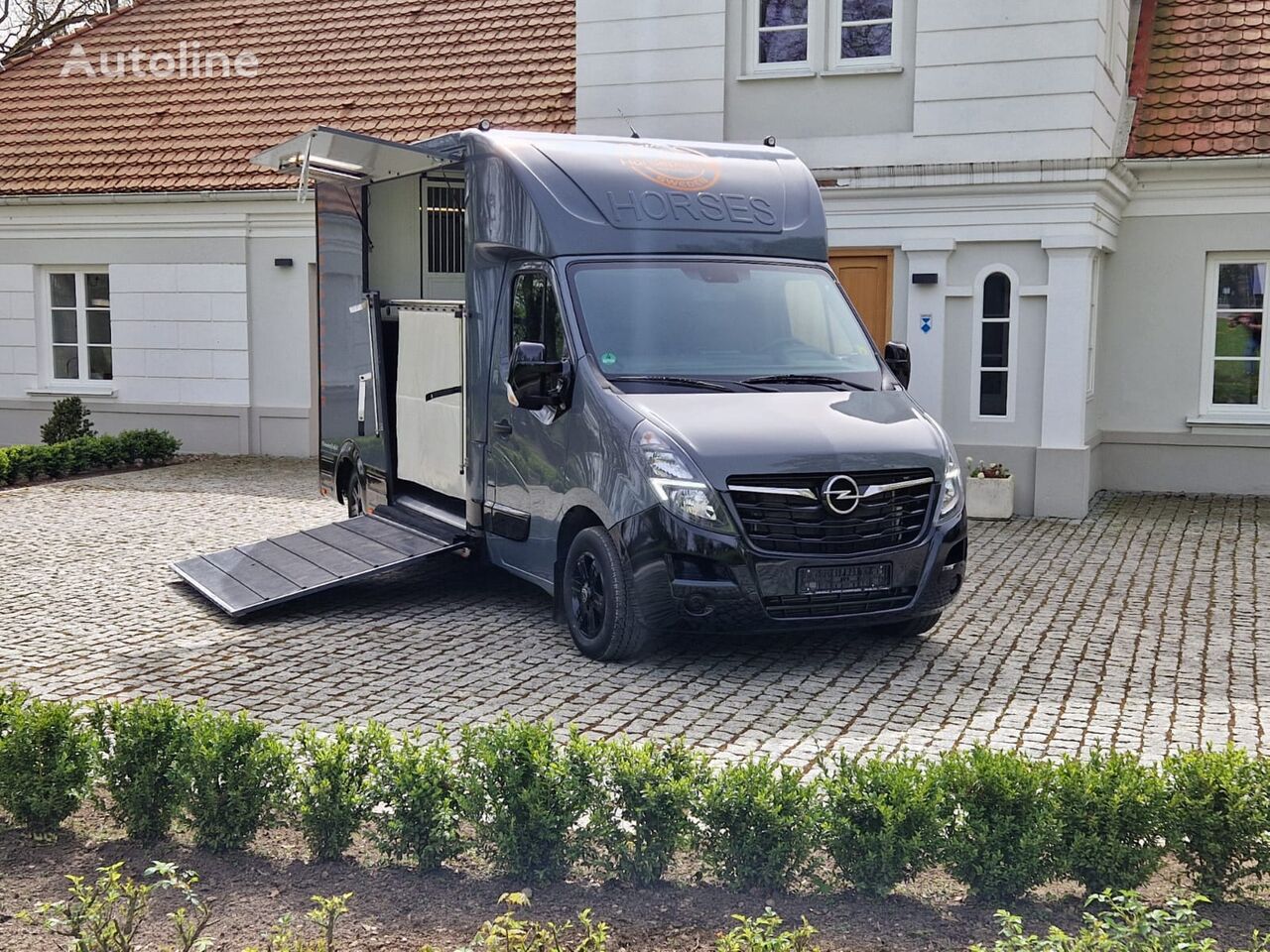 Opel Movano horse transporter
