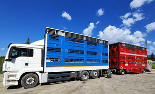 MAN MAN TGS 26.480 livestock truck + livestock trailer