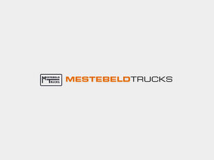 DAF STEEKAS MET SPER RECHTS 1363855 half-axle for truck